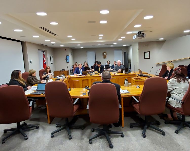 Hvllecouncil(2)