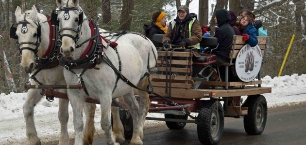 The Port Sydney Winter Carnival: winter fun for all