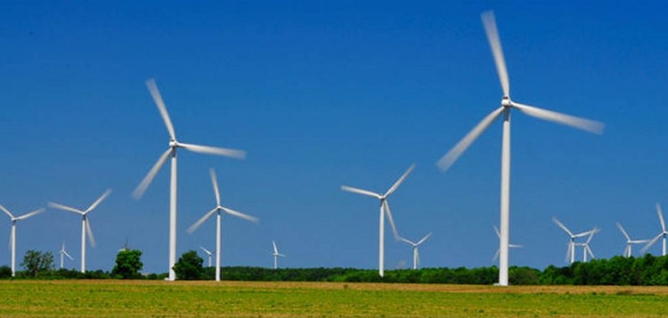 Wind turbines (stock photo)