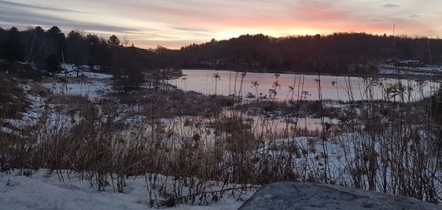 Coping with COVID-19: Remember the beauty that surrounds us