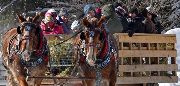 Dwight Winter Carnival celebrates 50 years
