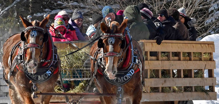 Dwight Winter Carnival attendees enjoyed wagon rides with Hammond’s (Cheyenne Wood)