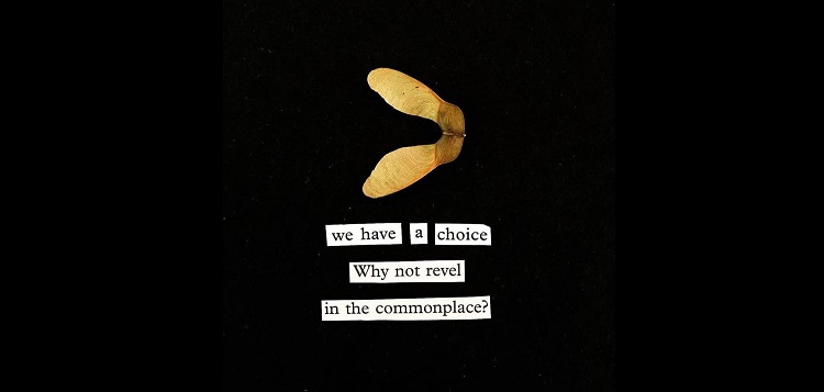 Revel in the commonplace Paula Boon foundwordart Instagram