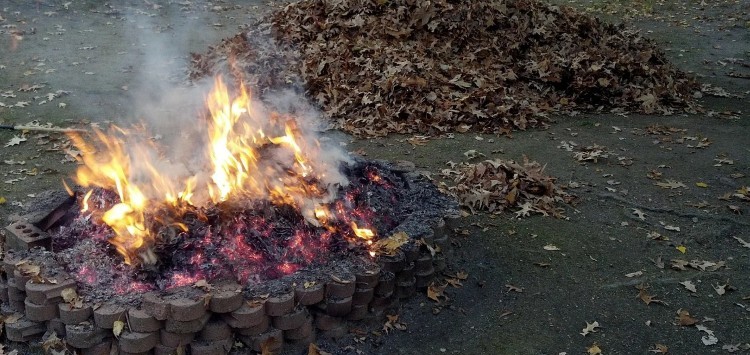 Burning leaves in fire pit (stock photo)
