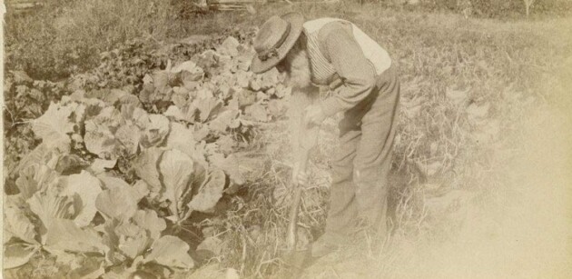 It’s Wayback Wednesday sponsored by Pharmasave: Gardening