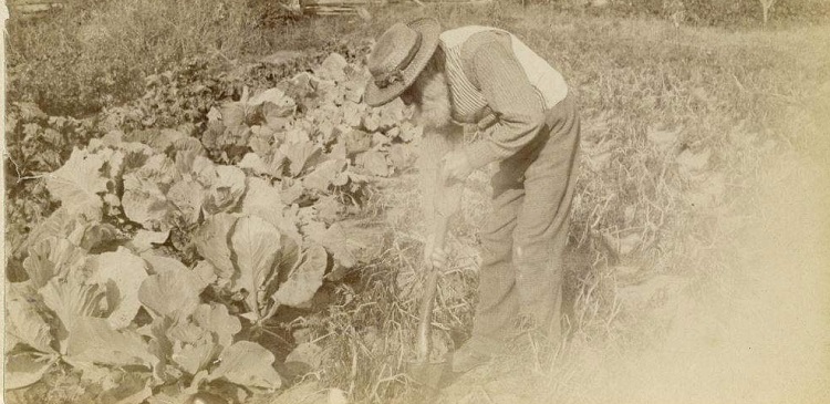 Wayback Wednesday 2020 20 Mr Kay garden cropped