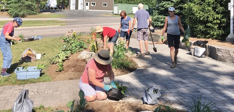 Volunteers plant perennials at Flag Park (Photo Helen Bastedo)