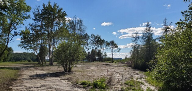 Staff asked to investigate interim measures to avoid significant site alteration on private property