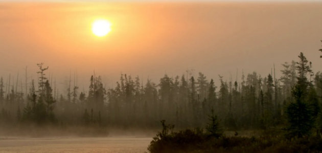 Muskoka Area Indigenous Leadership Table receives honourable mention from the Institute of Public Administration of Canada