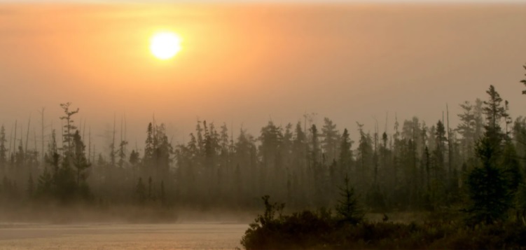 Muskoka-Area-Indigenous-Leadership-Table.jpg