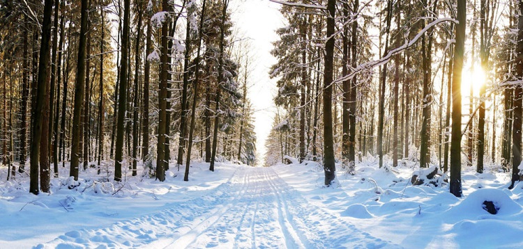 Winter-in-Muskoka-discovermuskoka.ca_.jpg