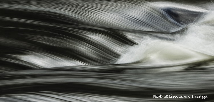 Rob-Stimpson-Waterlines-cropped.jpg