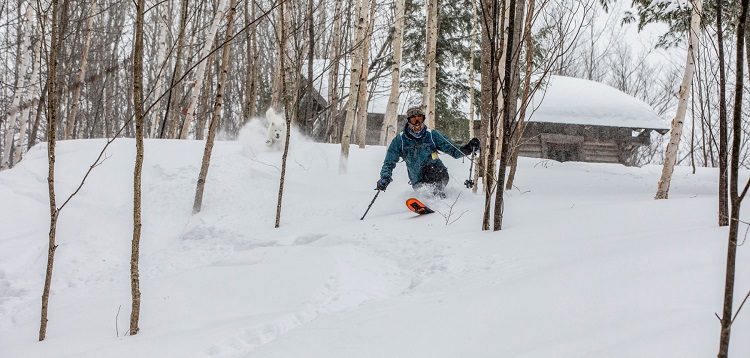 Jeff Mann at his dog Parka at Limberlost (wwhsta.org)