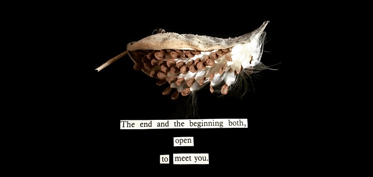 “Open” by Paula Boon