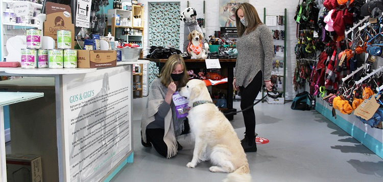 Lily, with owner Jody Wright, patiently waits for a treat from Tara Kerr