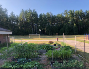 The gardens at Irwin Memorial Public School (supplied)