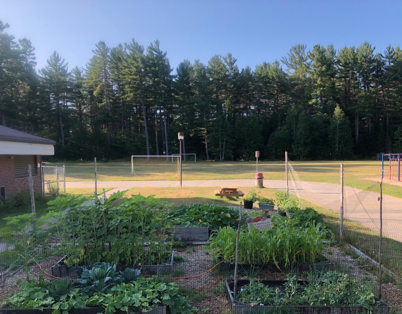The gardens at Irwin Memorial Public School (supplied)