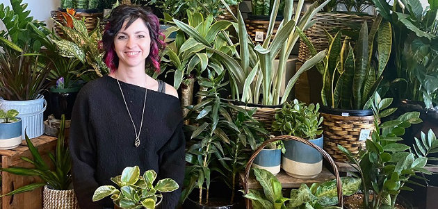 Bringing nature indoors: houseplant purchases grow thanks to pandemic