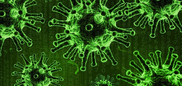 Four COVID-19 cases in Muskoka are likely the Omicron variant