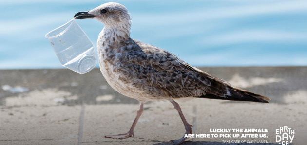 It’s Earth Day: Take care of the planet