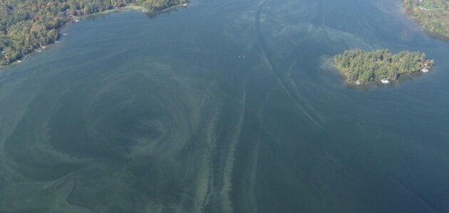 Causation studies being conducted on five Muskoka lakes