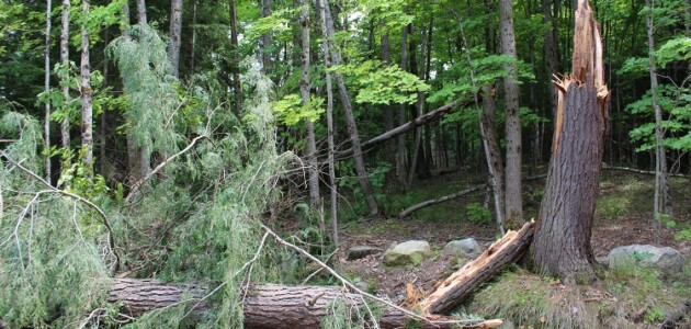 Possible tornado near Dwight…again