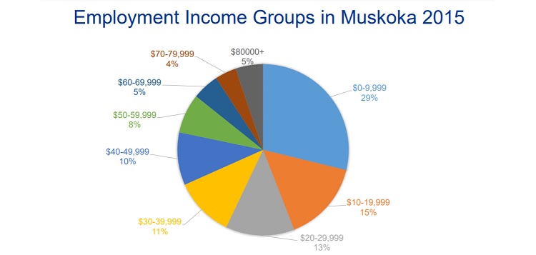 Employment-Income-Muskoka-2015.jpg