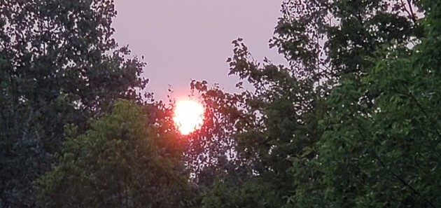 Environment Canada issues air quality statement for Muskoka