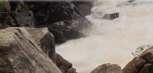 District launches projects to protect health of Muskoka River Watershed