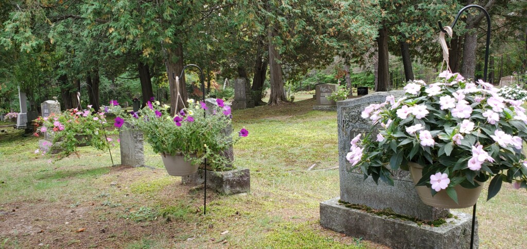 Flower baskets at Baysville cemeteries are watered by hand by volunteers (Dawn Huddlestone)