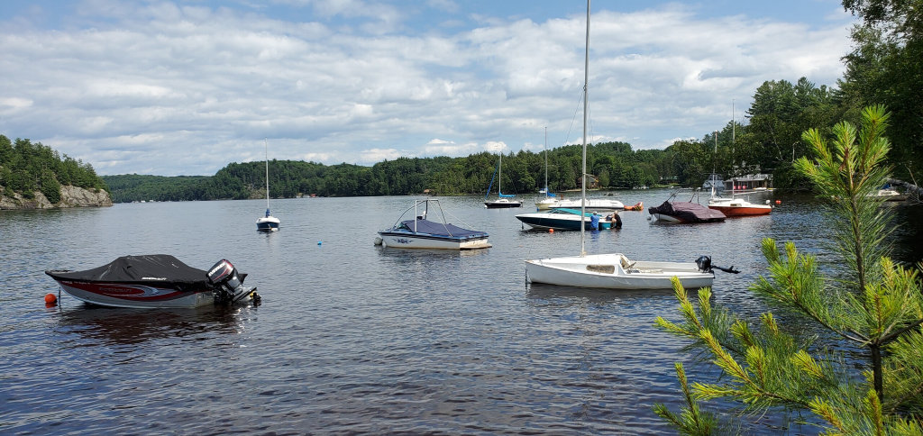 Boats moored at Port Sydney beach