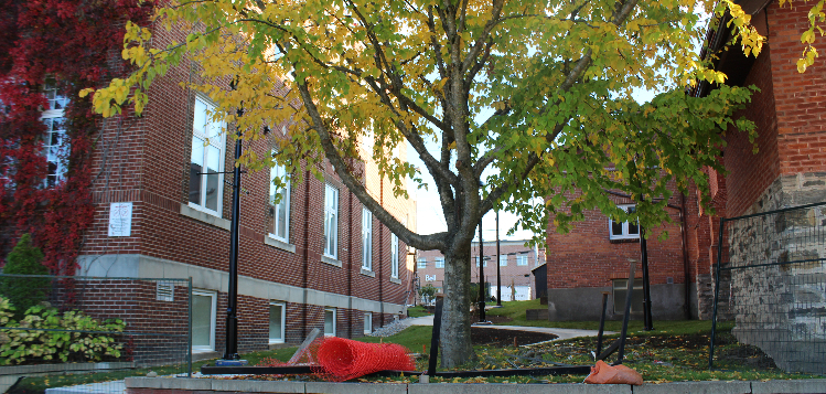 Town-Hall-parkette.JPG