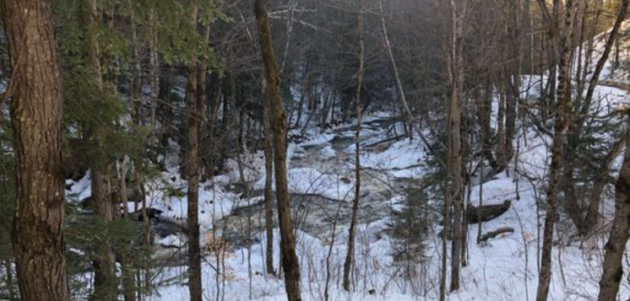 Fowler Construction donates Sage Creek to Muskoka Conservancy