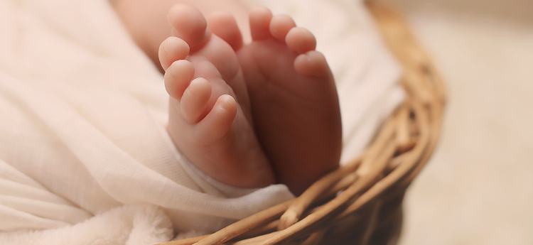 newborn-g9fe92b06d_1280.jpg