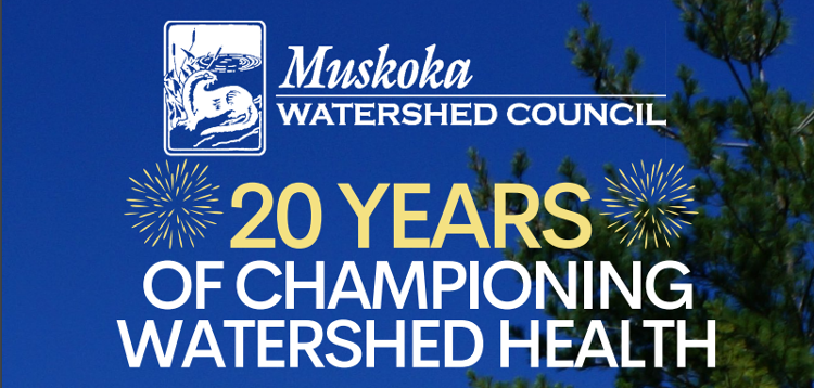 MWC celebrates 20 years