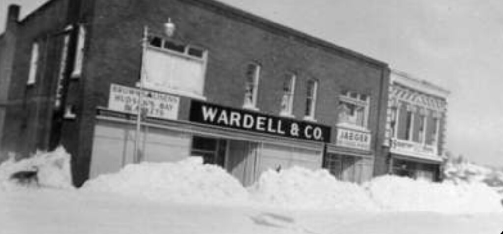 Wayback Wednesday 2022 Wardell & Co