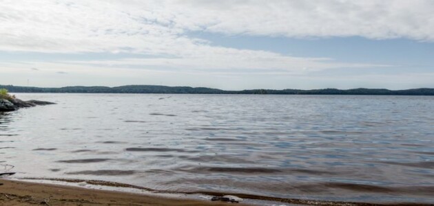Health unit says be informed before swimming at public beaches