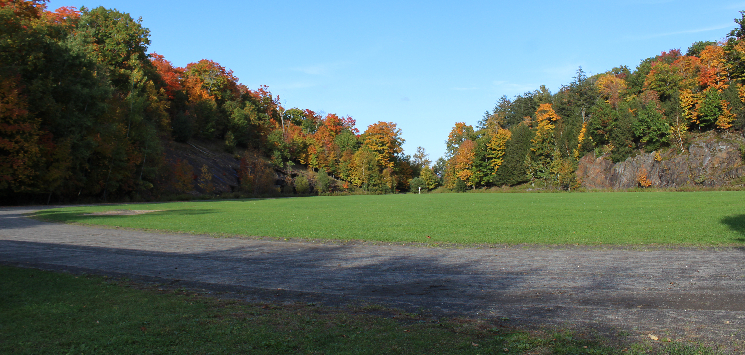 hgNFRR4W-dSKcGWix-Lions-Lookout-field-1.jpg