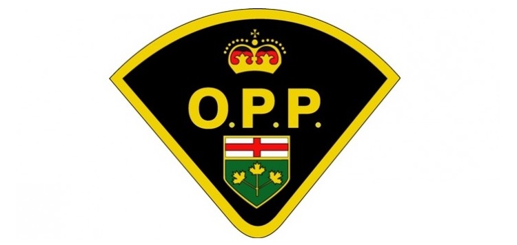 OPP-logo.jpg