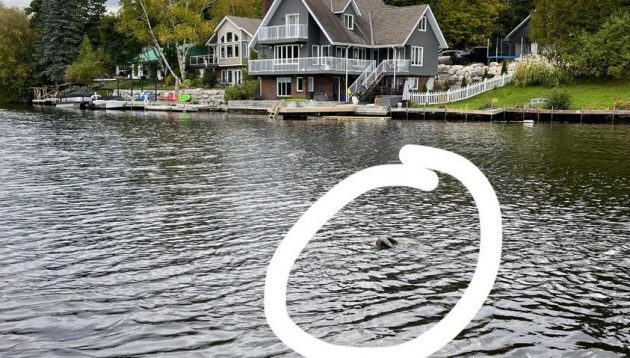 A warning from the Fairy Lake Association