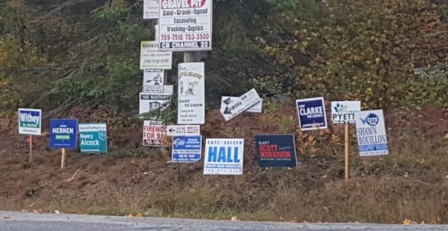 Assessing election candidates with the environment in mind