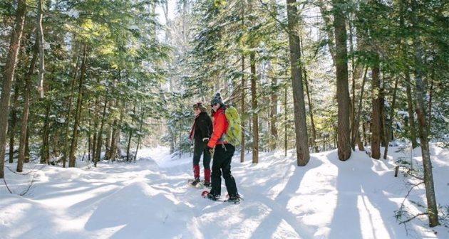 Council entertains the idea of opening up trails for winter use