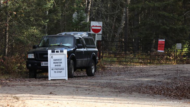 Harvest season for Algonquins of Ontario underway in Algonquin Park