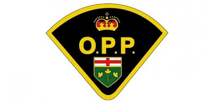 fN1BS0rY-OPP-logo.jpg