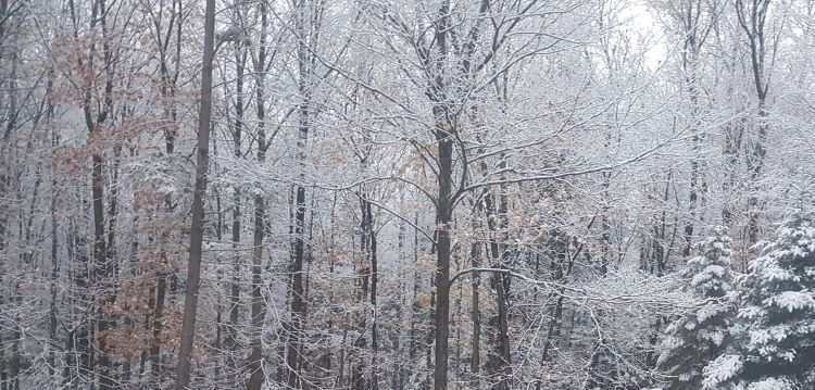 weather-pic.jpg