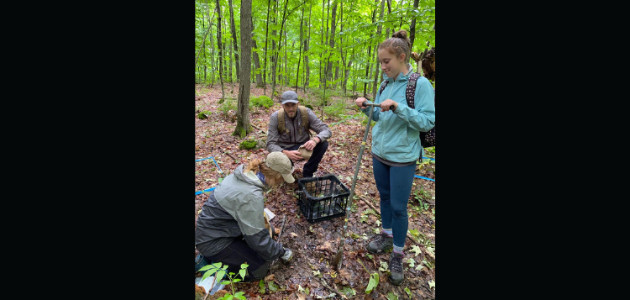 Friends of Muskoka Watershed earns charitable designation