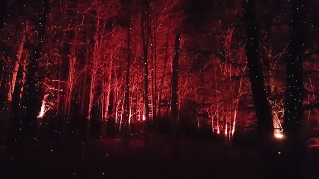 Eclipse “Walk With Light” a great way to chase winter darkness away