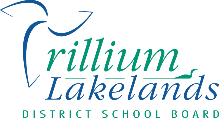 VpmyOkHM-TLDSB-Logo-colour-2022.png