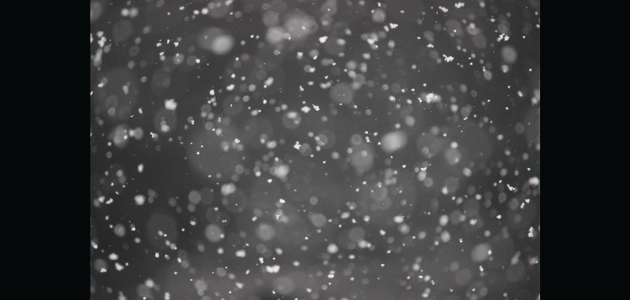 Doppler daily weather report