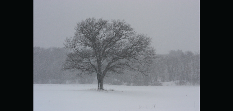 snow-1.png